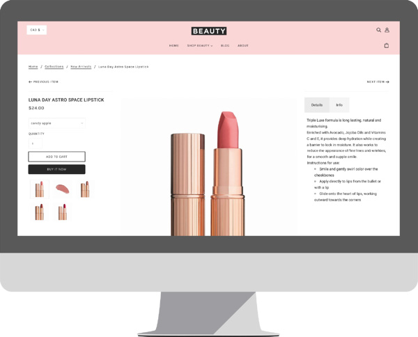 Webshop on desktop monitor